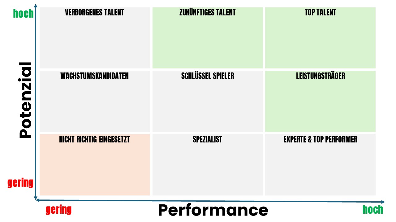 Die 9 Felder der Performance Potential Matrix